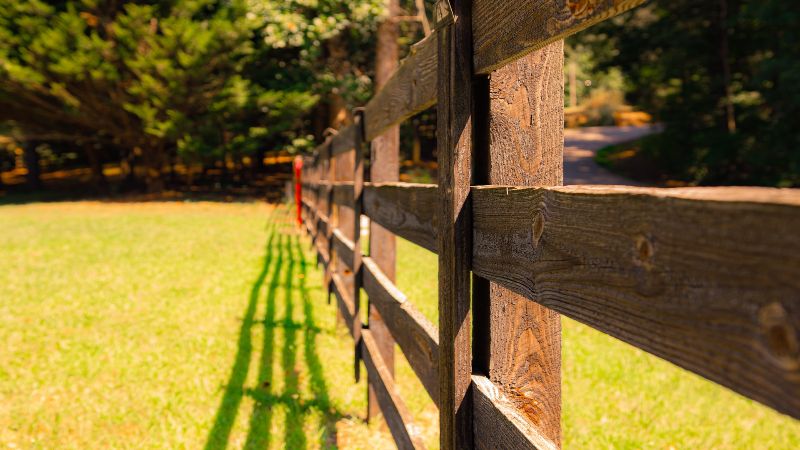 Image of Wood Fence In How to Stain a Wood Fence